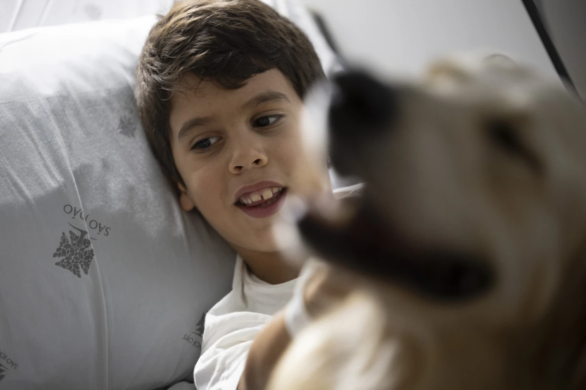 Imagem de contexto do artigo Muito mimo e lambidelas. Crianças internadas no São João recebem visitas de cães
