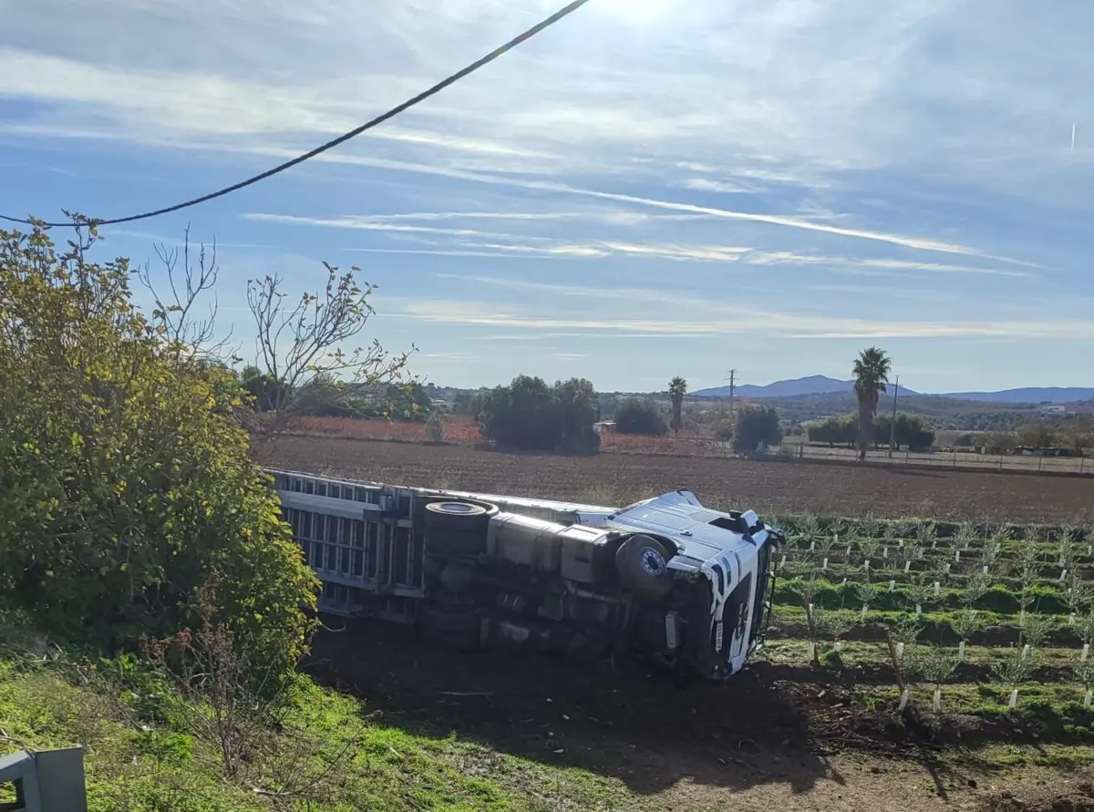 Camião despistou-se na EN4