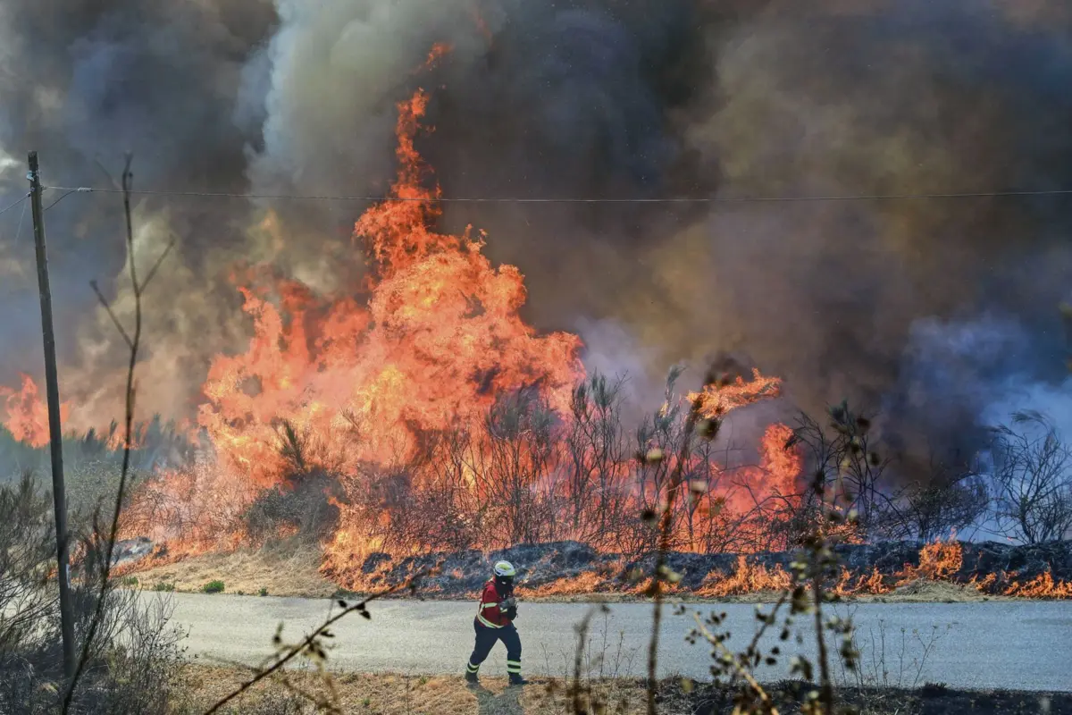Imagem de contexto do artigo Cerca de 30 concelhos de seis distritos em perigo máximo de incêndio