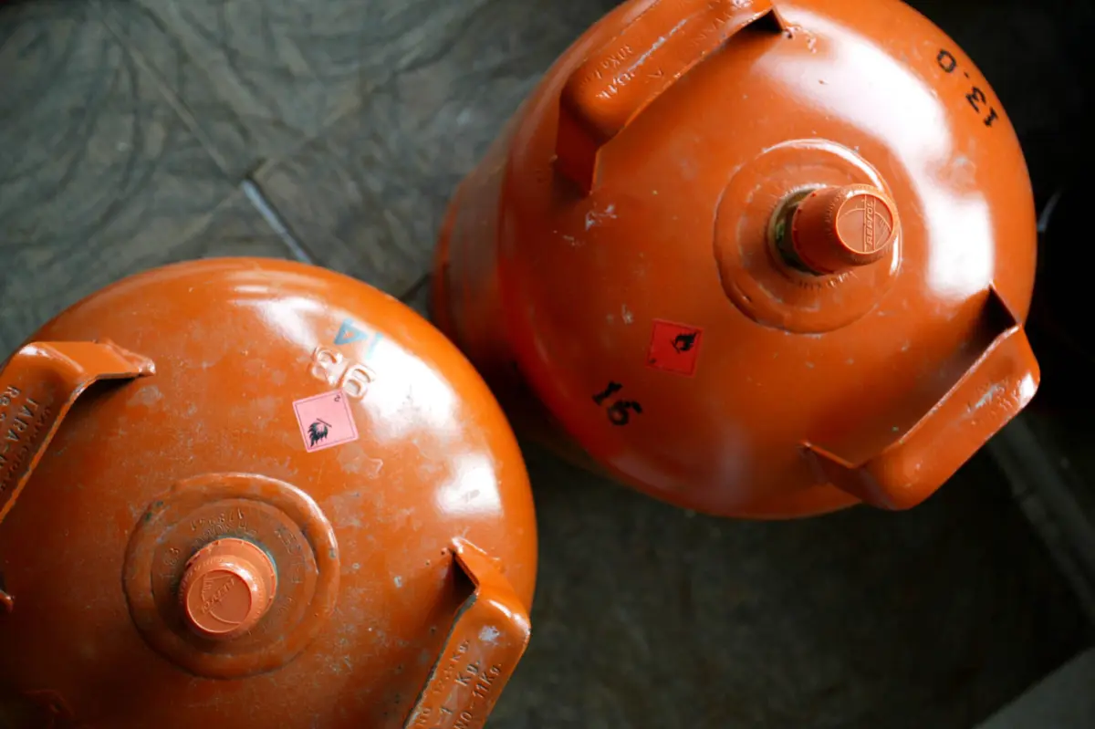 Programa vai ter um reforço de 2,5 milhões euros este ano