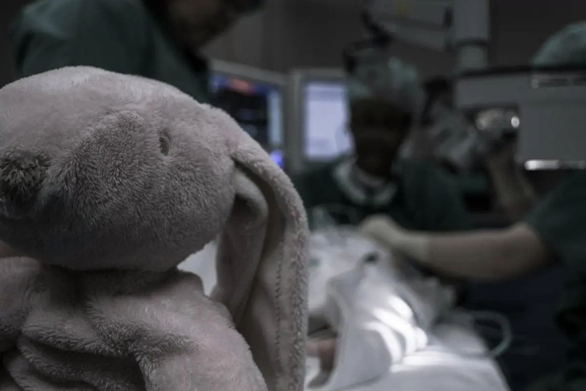 Imagem de contexto do artigo Menino de dois anos que recebeu transplante de coração danificado por gelo morre em Itália