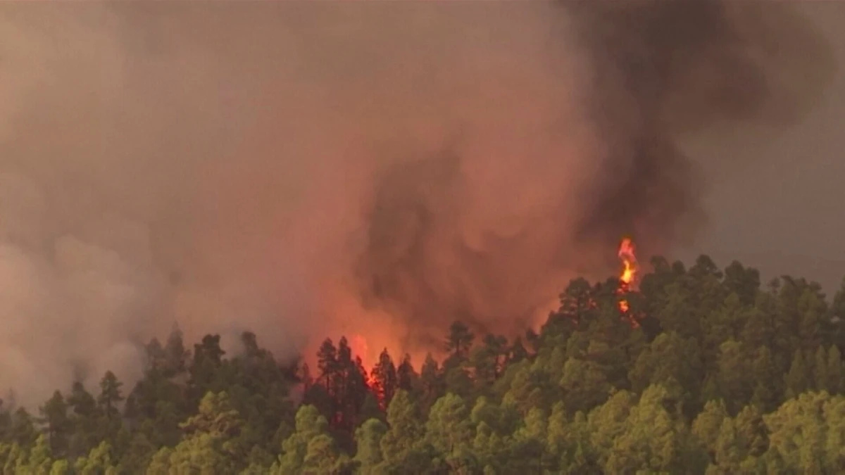 Sapador florestal é suspeito de atear seis incêncios só este mês em Tondela