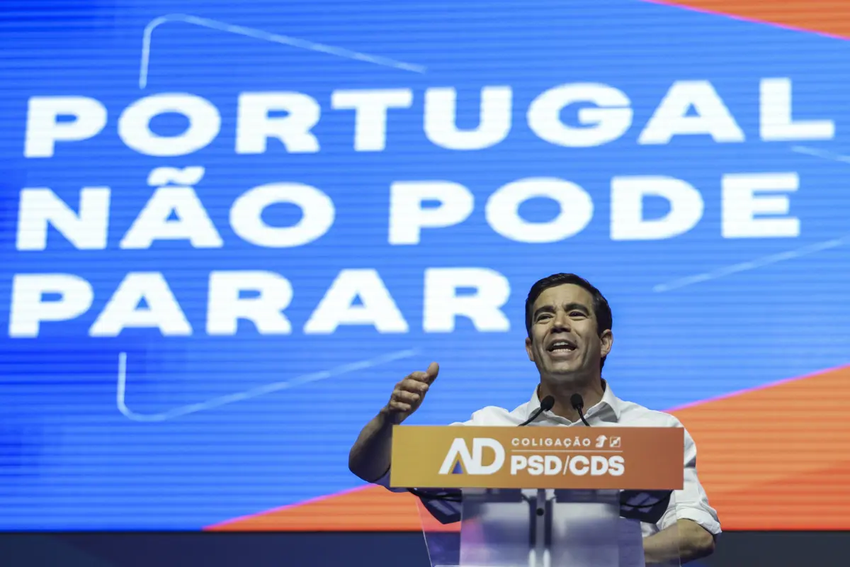 Leitão Amaro em Viseu