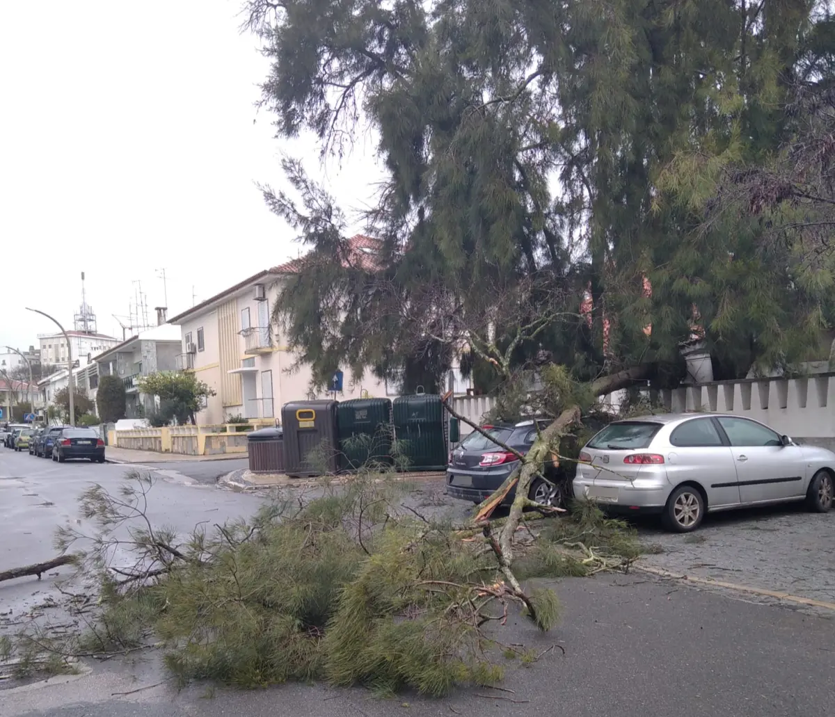 O incidente ocorreu às 10.20 horas