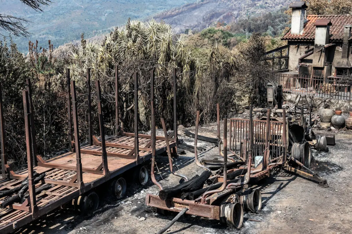 Lousã foi uma das zonas afetadas por incêndios de grande dimensão