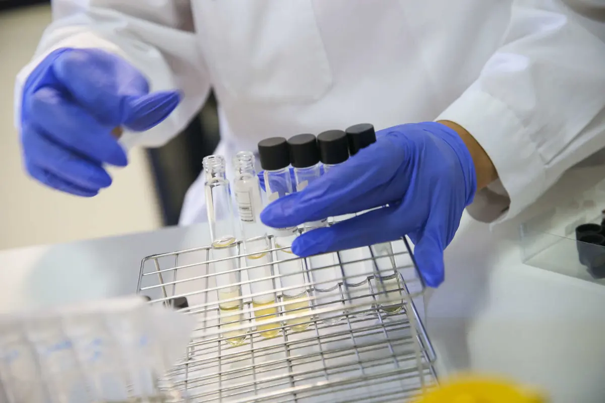 Equipamento armezenava amostras e células a 80 graus negativos