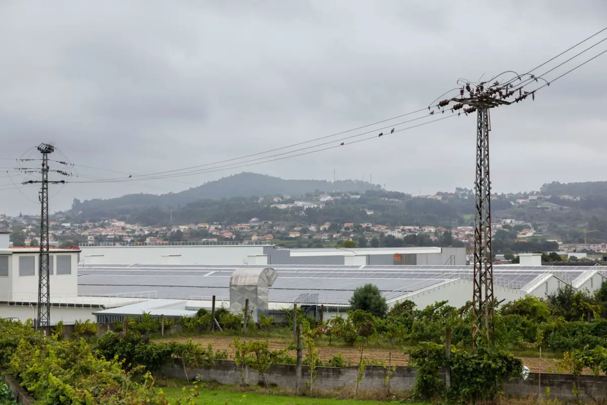 Os municípios afetados por esta intervenção são os de Lisboa, Oeiras e Sintra, Tomar e Faro, Lagos e Olhão