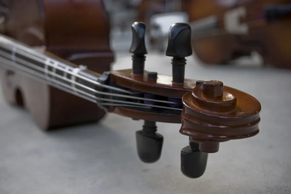 Imagem de contexto do artigo Aproveita sono profundo de músico para roubar violoncelo valioso