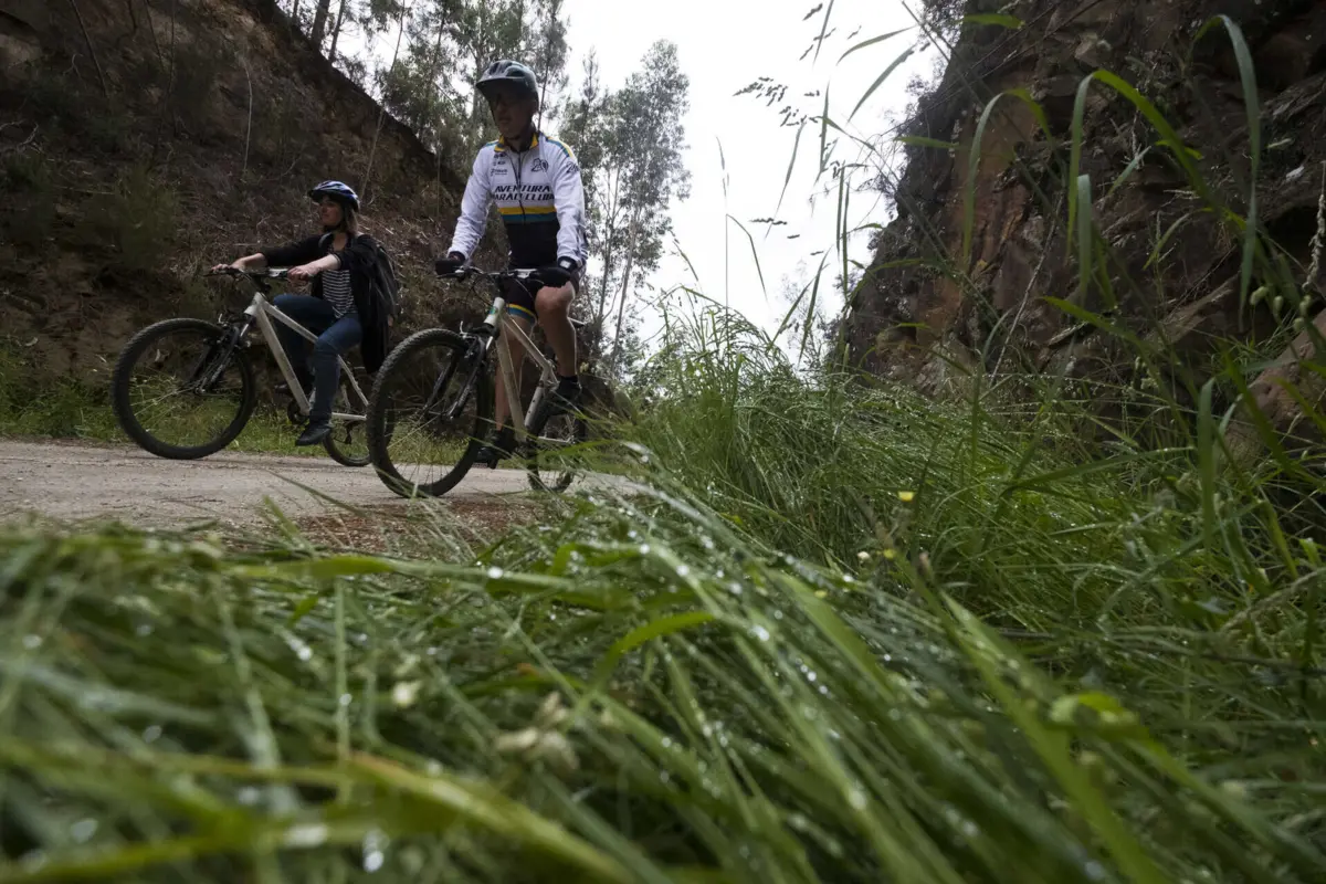 Imagem de contexto do artigo Mirandela vai ter ecopista em antigo ramal ferroviário da linha do Tua