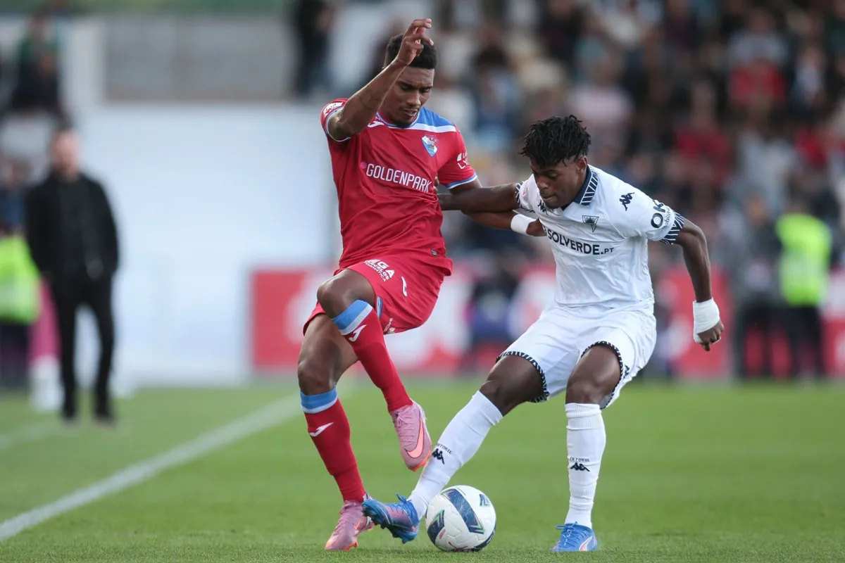 Galos venceram canarinhos