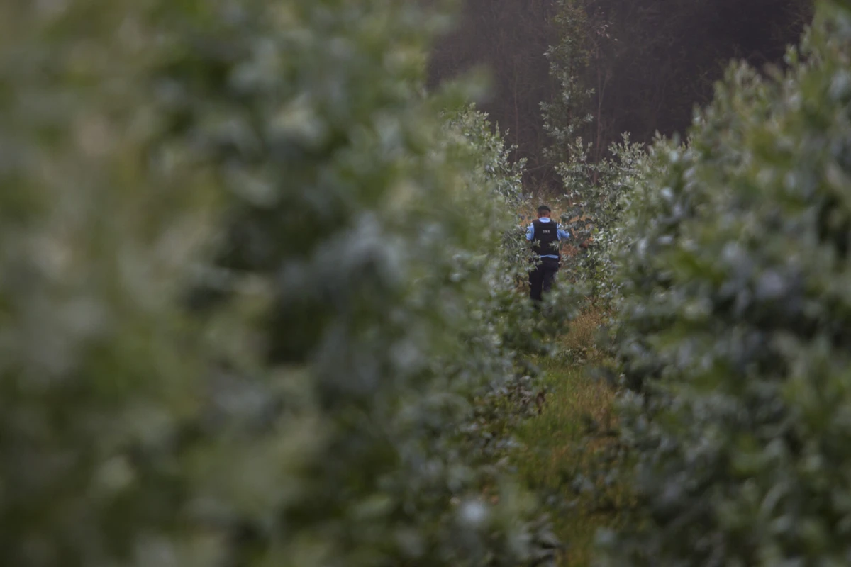 Imagem de contexto do artigo GNR procura idosa com Alzheimer desaparecida em Sobral de Monte Agraço
