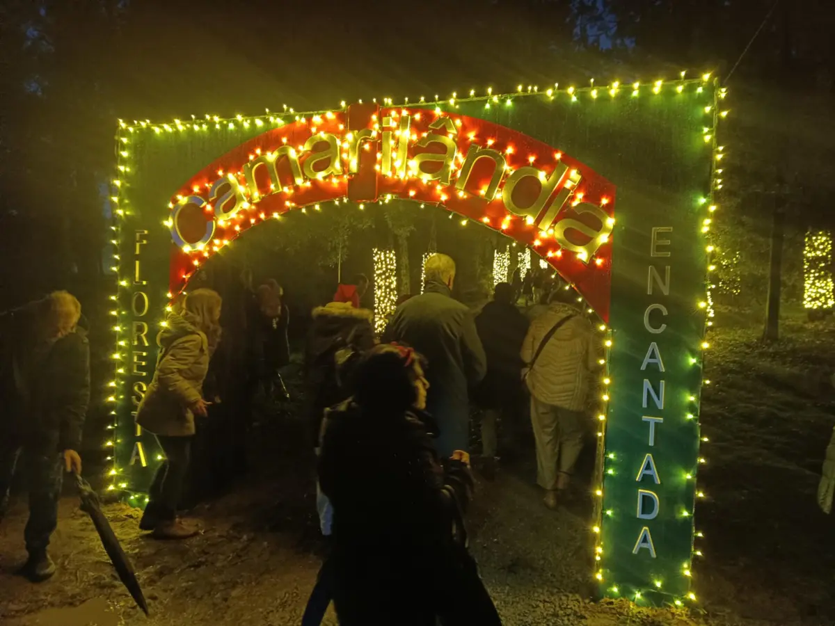 Floresta vai permanecer encantada até ao dia 21 de dezembro