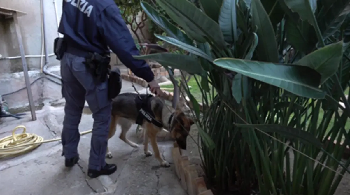 Autoridades procuram restos mortais de um terceiro bebé