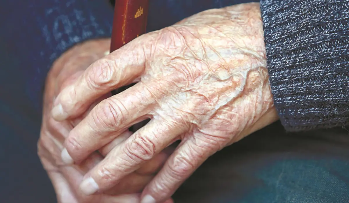 Imagem de contexto do artigo Santander, BPI, Novo Banco e Montepio condenados a devolver pensões aos reformados