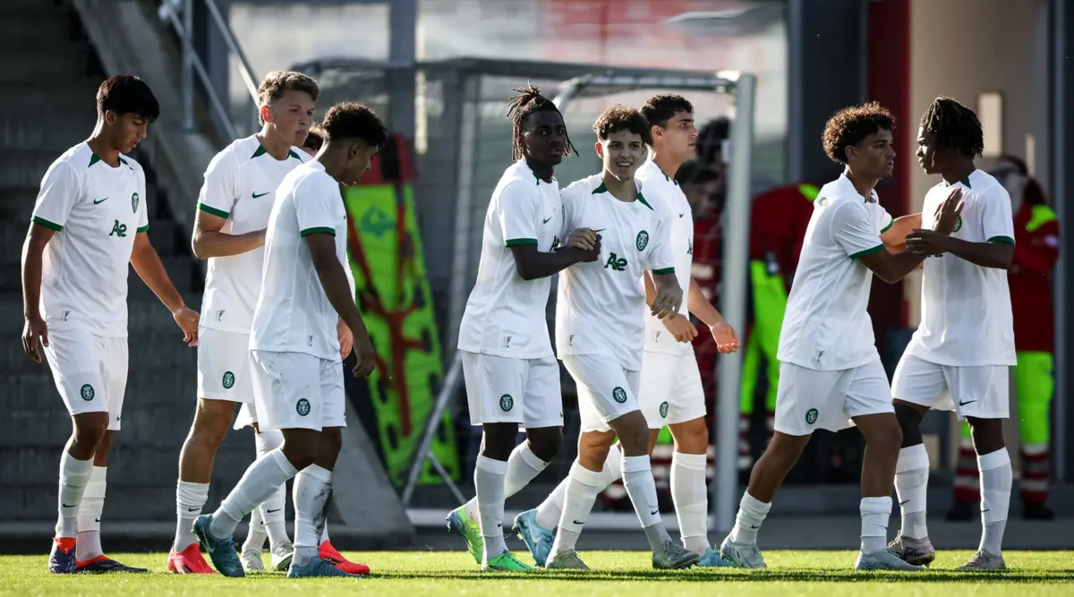 Celebração da formação leonina