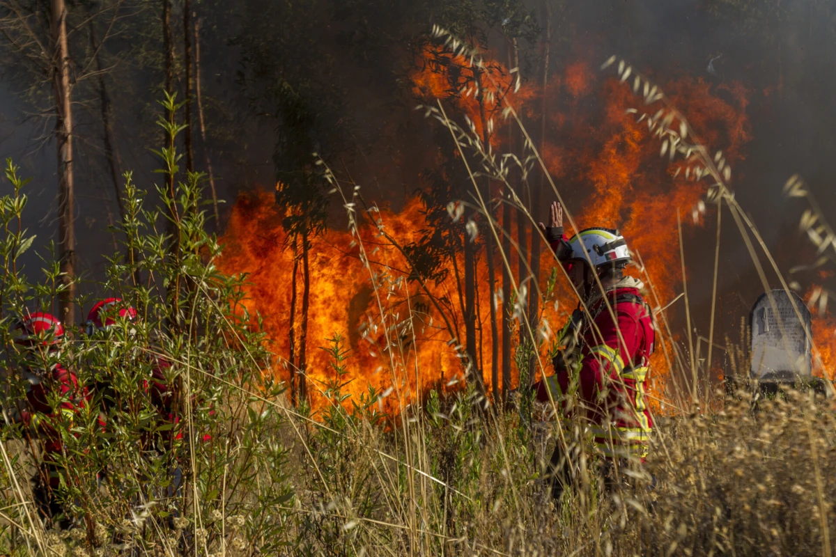 Pelas 12 horas, o incêndio de Torneiros, na união de freguesias de Gondiães e Vilar de Cunhas, mobiliza 66 operacionais e 25 veículos