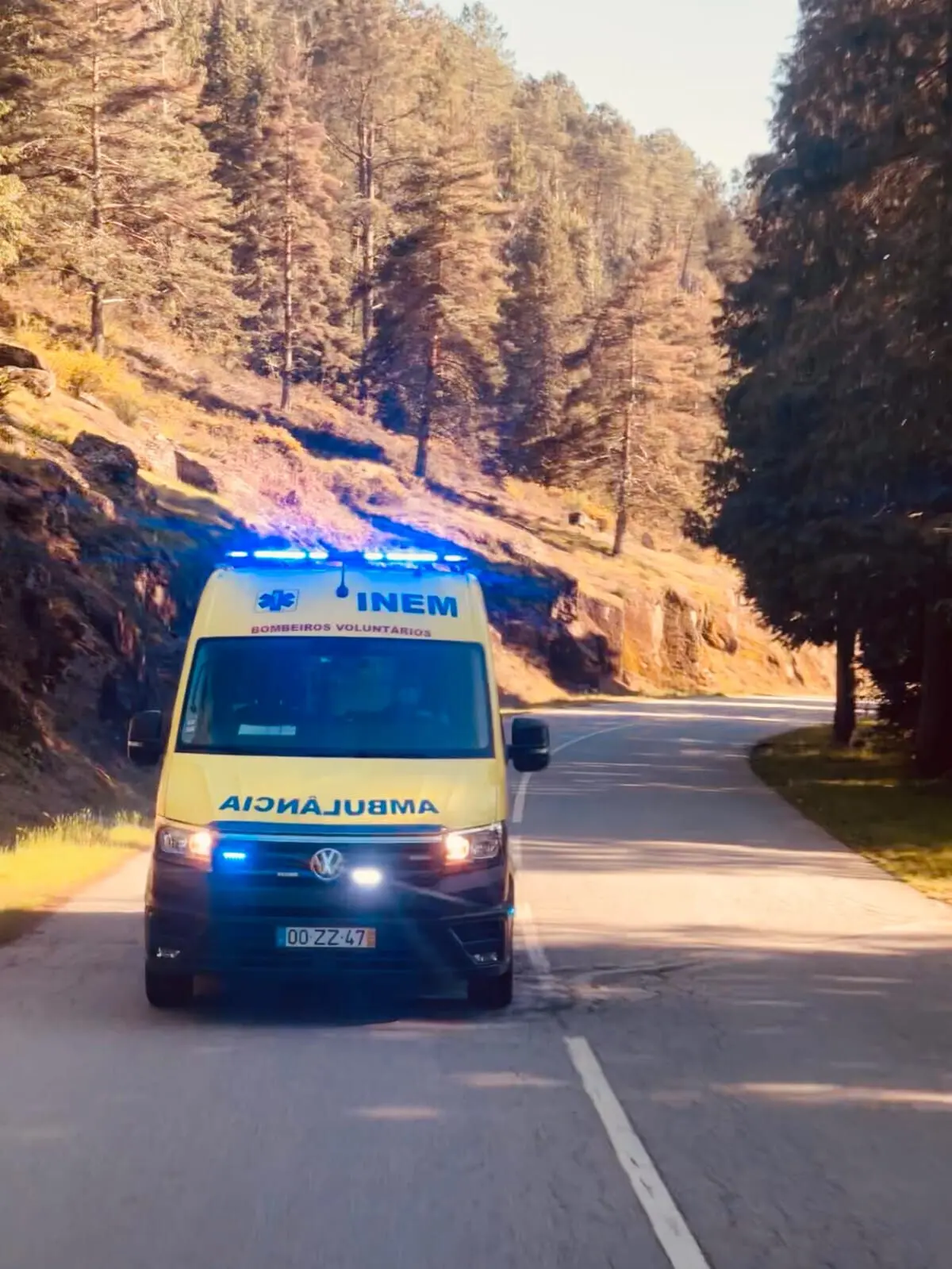 Imagem de contexto do artigo Criança atacada por cão em Mondim de Basto