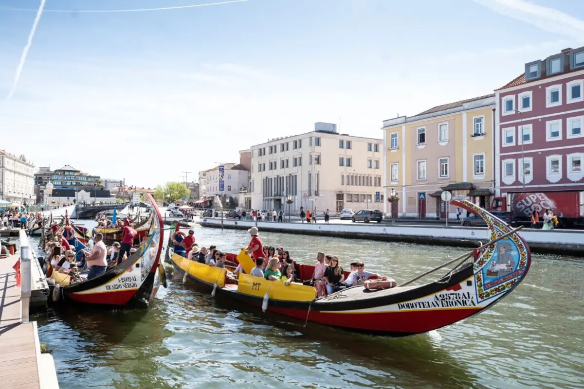 Distrito de Aveiro elege 16 deputados