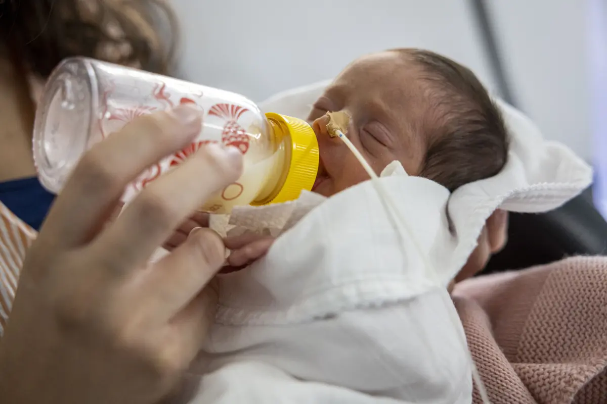 Imagem de contexto do artigo Mais nascimentos e mais casamentos nos primeiros seis meses do ano