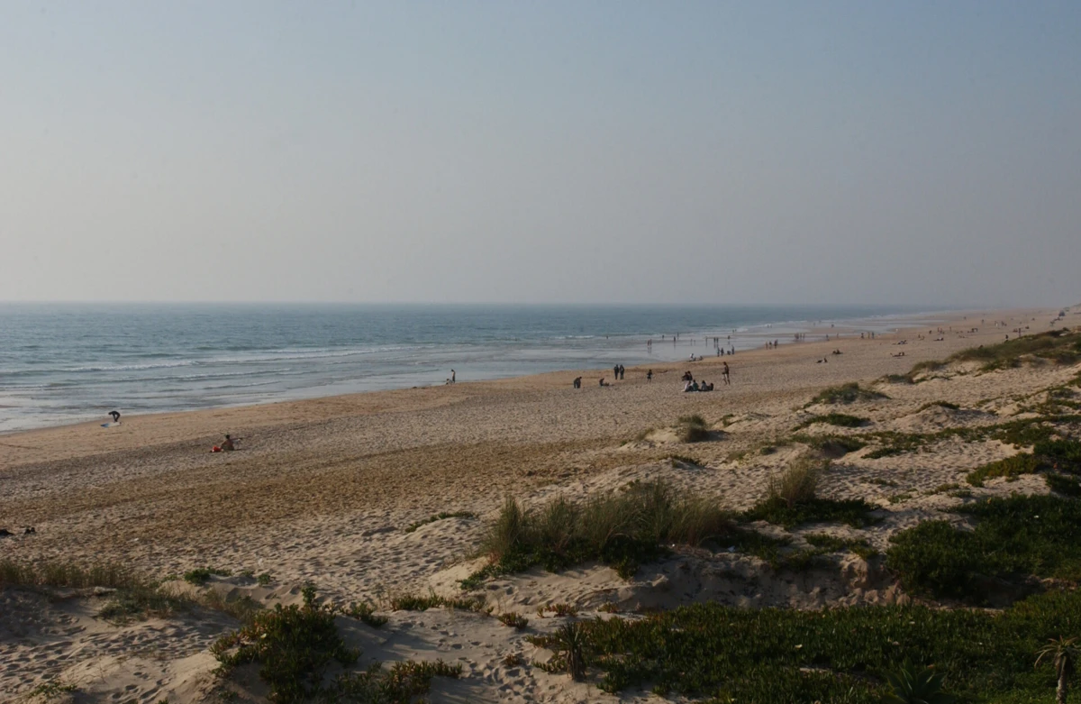 Epicentro do sismo foi ao largo da Praia da Fonte da Telha