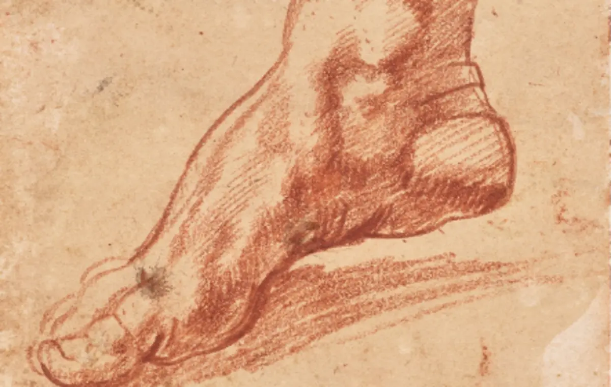 O desenho, realizado a giz vermelho, é um estudo para o pé direito da Sibilia Líbia