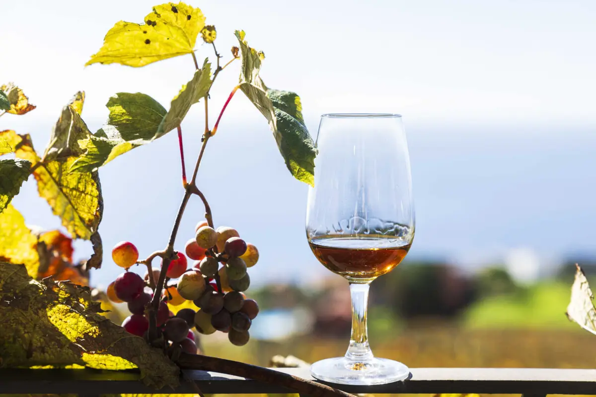 As novas tarifas “impactam muito” no negócio dos vinhos