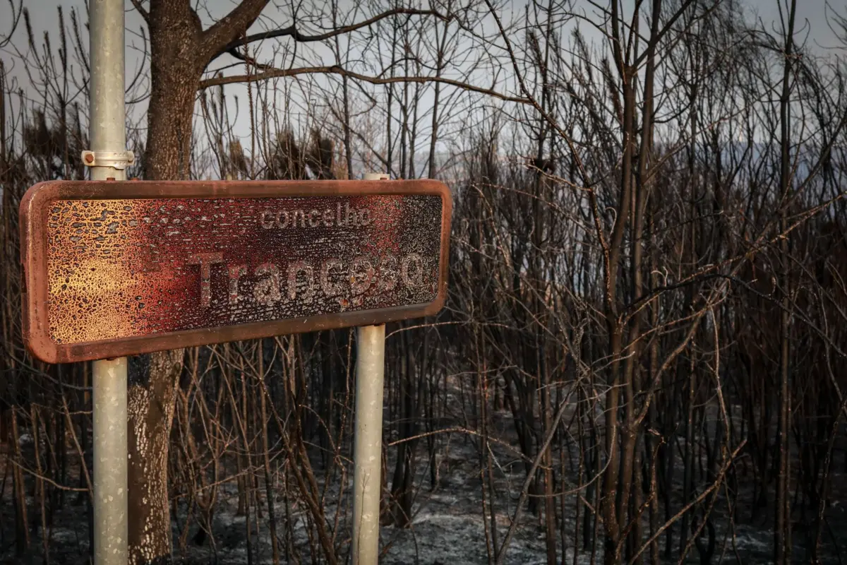 Incêndio em Trancoso entre os mais preocupantes que lavram há vários dias