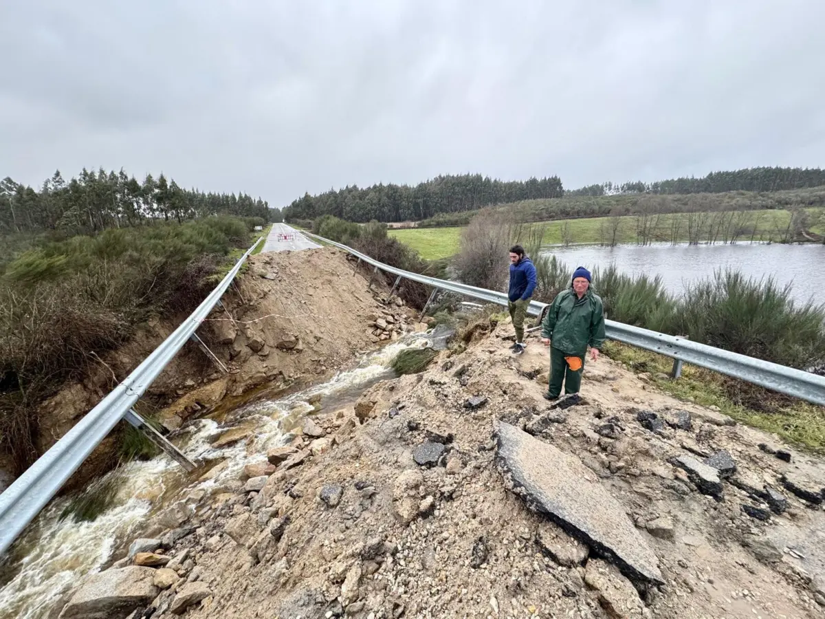 Imagem de contexto do artigo Sete metros de profundidade e 15 de comprimento: a cratera que engoliu parte da EN 329