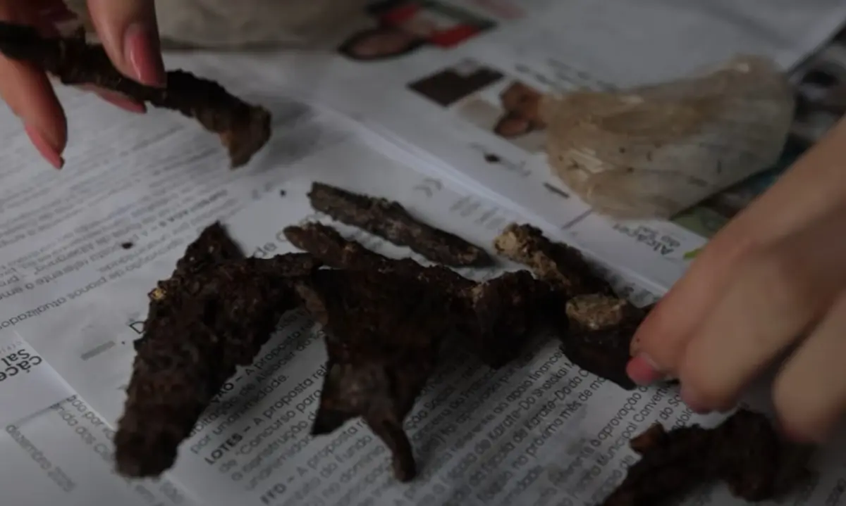 Espólio com mais de seis mil peças arqueológicas ficou submerso devido às cheias em Alcácer do Sal