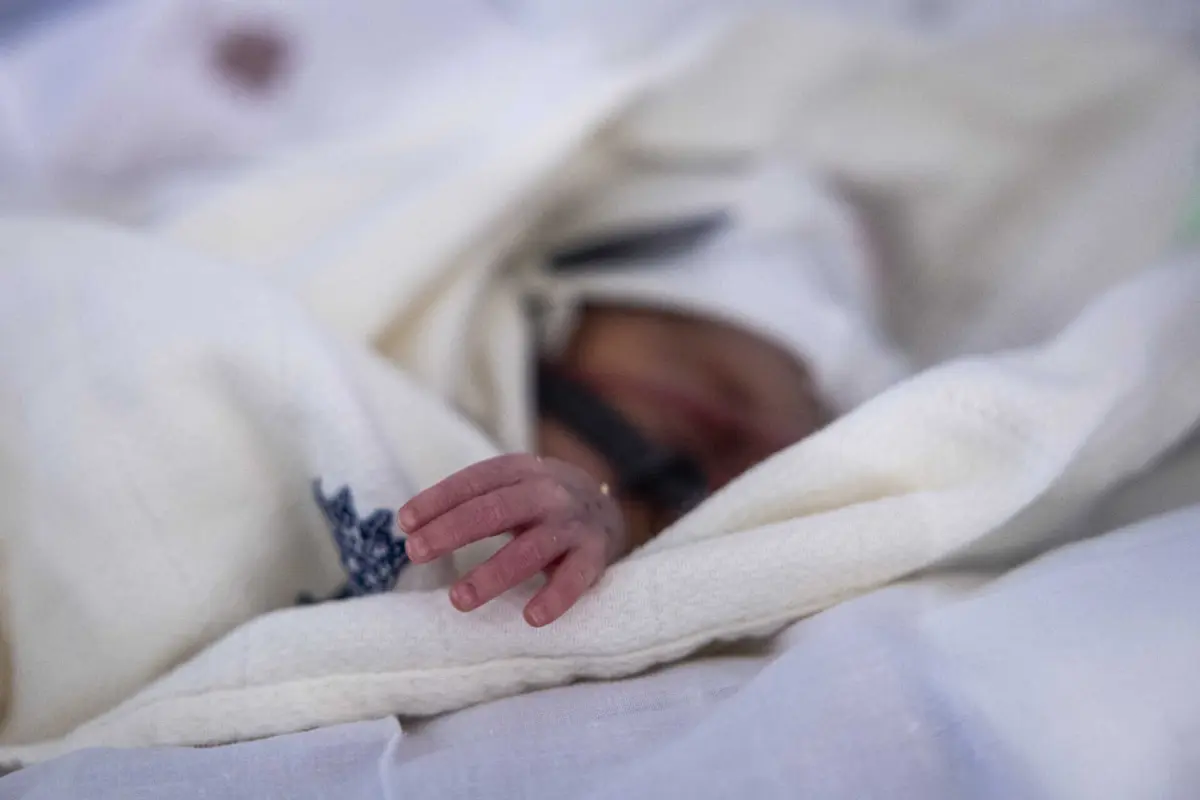 Bebés terão de regressar à unidade hospitalar daqui a duas semanas