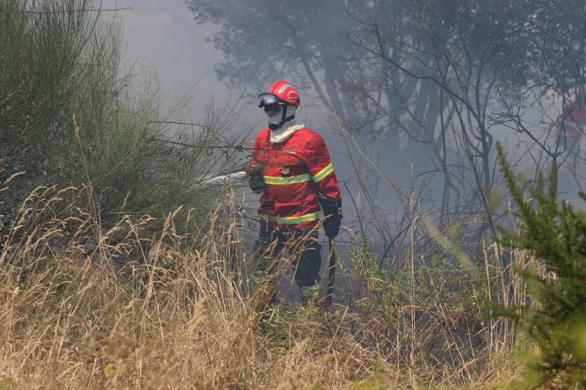 Imagem de contexto do artigo PJ detém suspeito de sete incêndios em Cantanhede