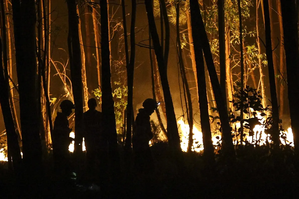 O incêndio deflagrou esta quarta-feira numa área de mato