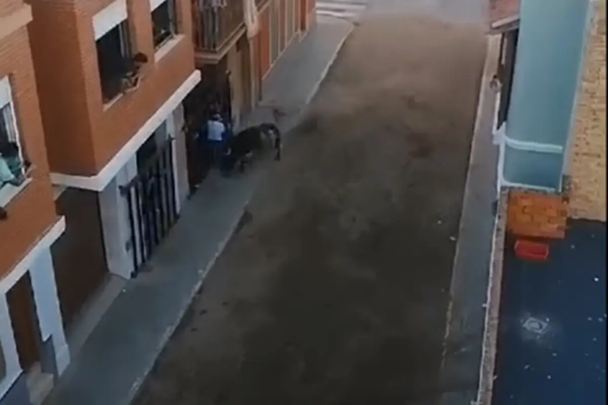 Homem morre esventrado por um touro durante largada em Valência