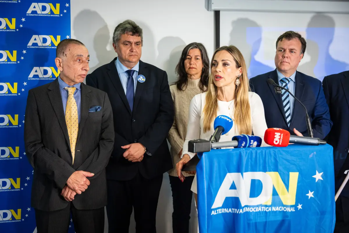 Joana Amaral Dias anuncia candidatura às legislativas pelo ADN