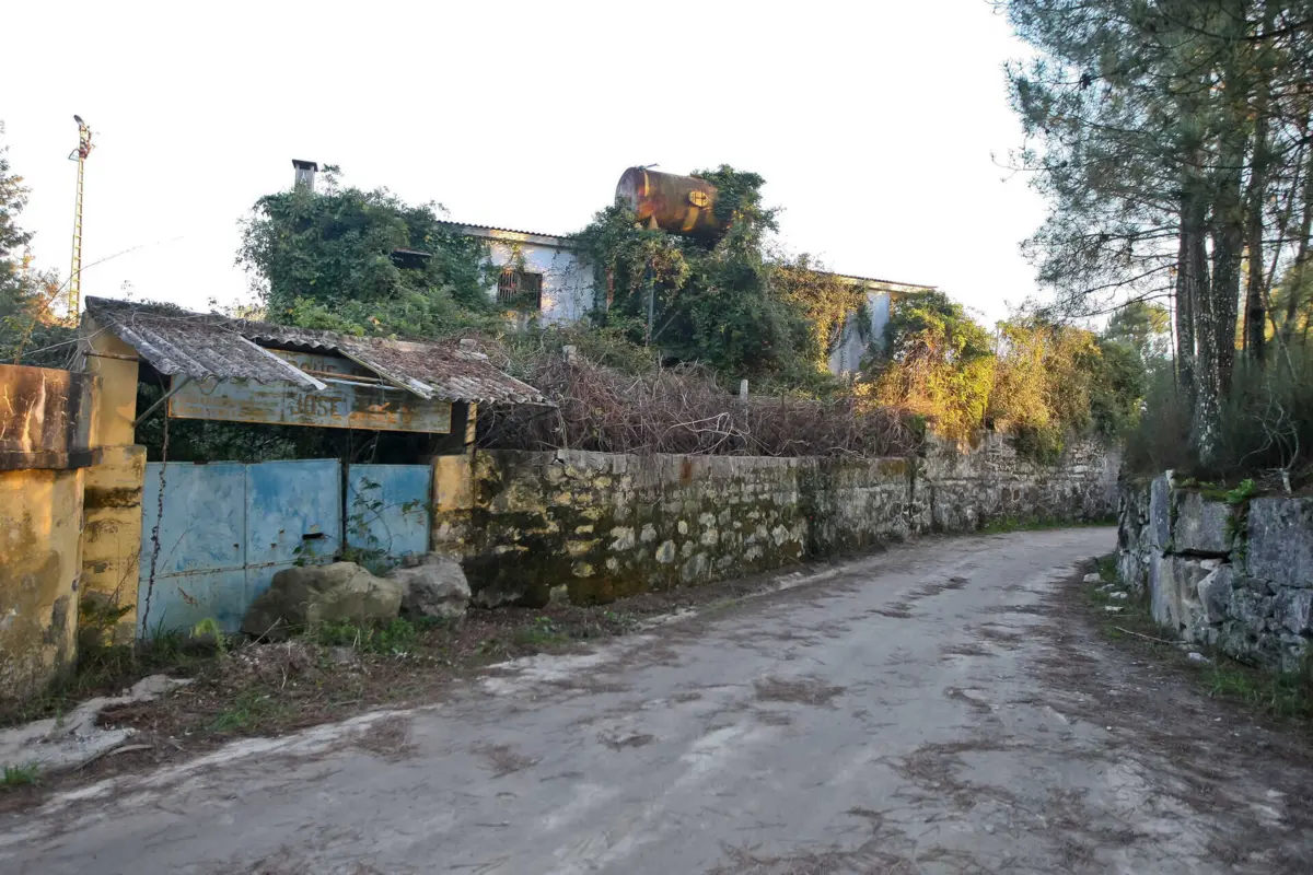Rua do Penedo foi palco do insólito achado