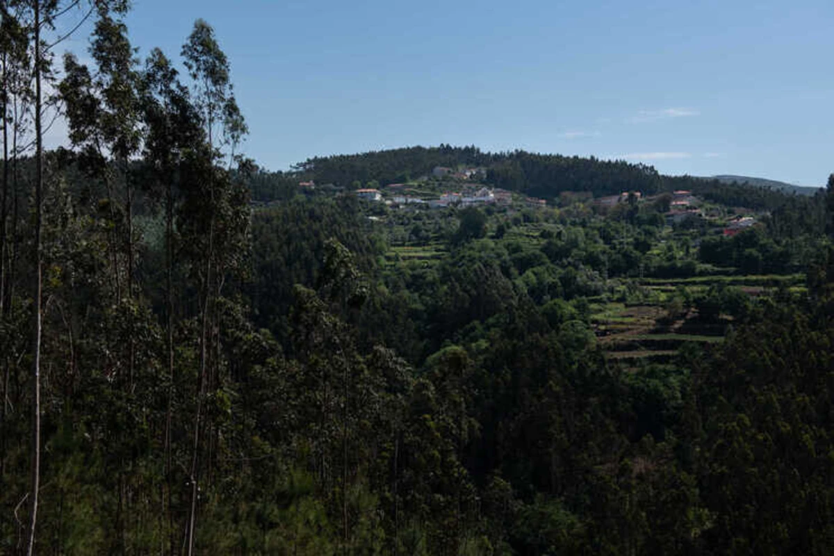 Imagem de contexto do artigo Militares vigiam floresta para prevenir incêndios em Braga