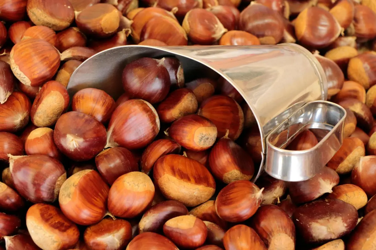 A castanha é um dos produtos de destaque da Mostra Gastronómica de Vila Pouca de Aguiar.