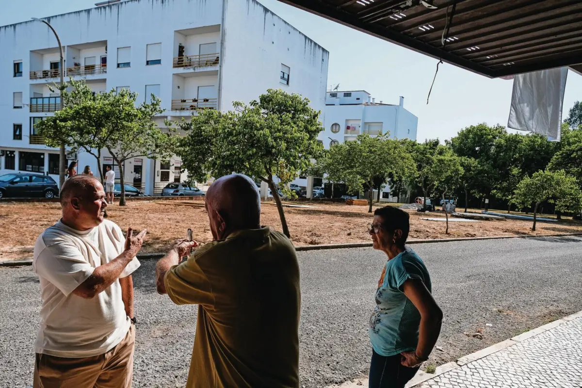 Espaço verde tem 45 árvores, a maioria das quais será abatida.