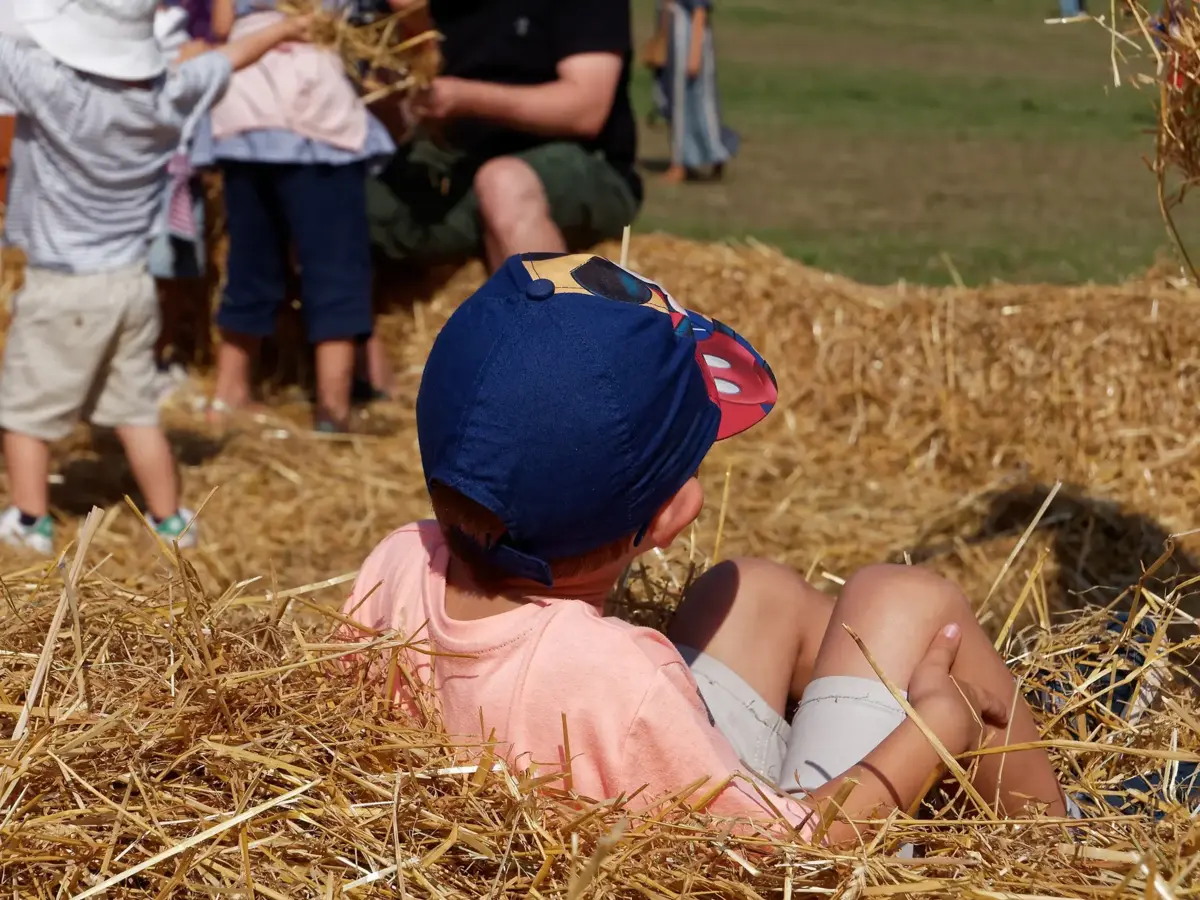 Festa do Outono decorre no Parque de Serralves