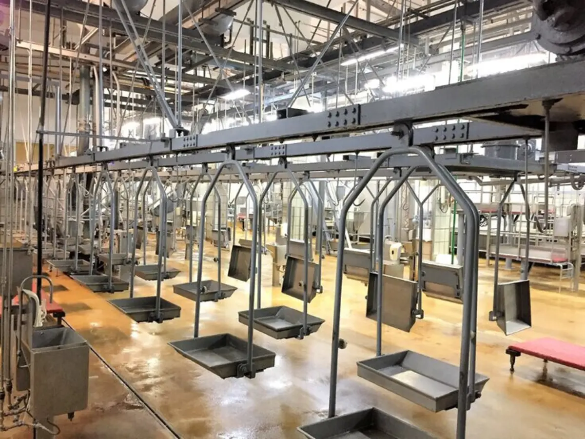 O matadouro estava encerrado desde 9 de janeiro