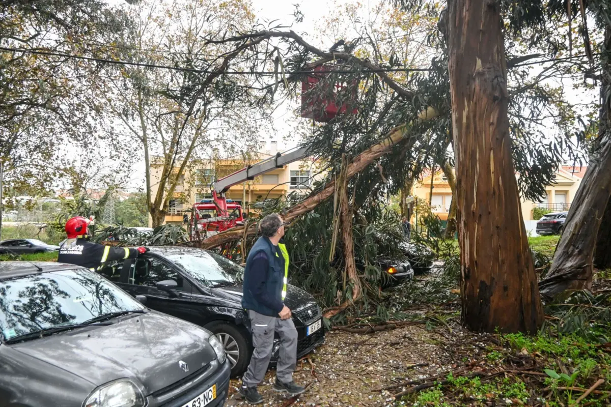 Registaram-se também oito quedas de estruturas, sete movimentos de massa, cinco quedas de árvores e dois salvamentos terrestres