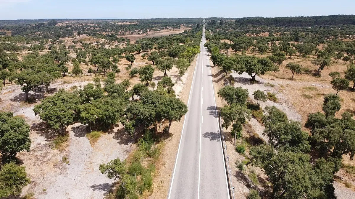 Ministro fará roteiro de quatro dias na EN2 para conhecer os problemas locais