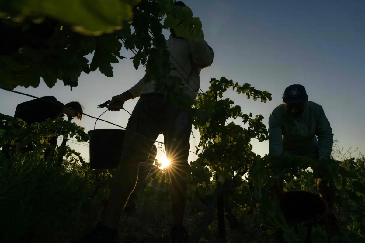 Imagem de contexto do artigo Degradação dos solos ameaça agravar aumento dos preços dos alimentos no Mundo