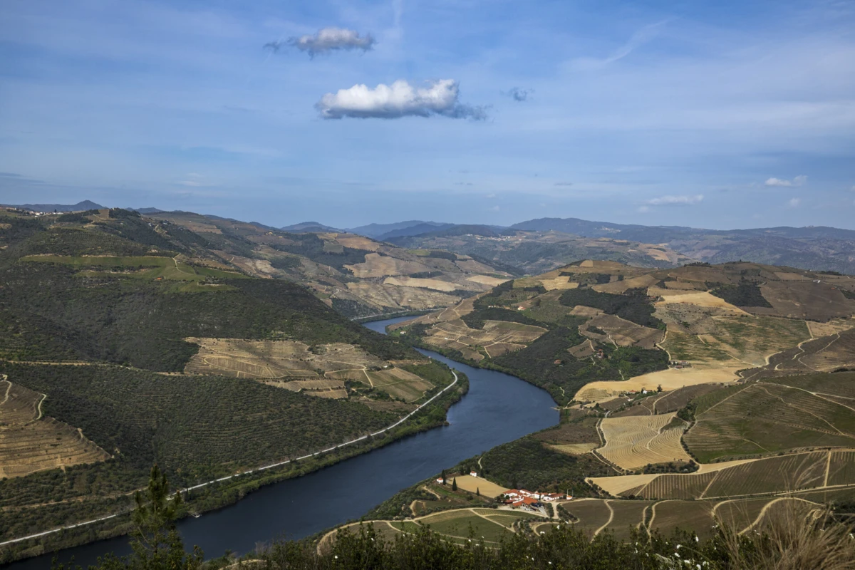 Com sede instalada no Peso da Régua, distrito de Vila Real, a Casa do Douro foi criada em 1932 para defender os viticultores e a viticultura duriense