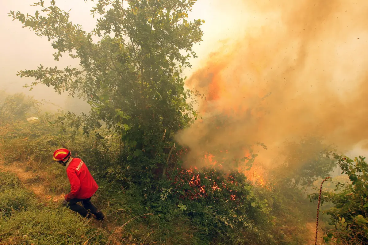 Por volta das 9.45 horas, o incêndio tinha duas frentes ativas