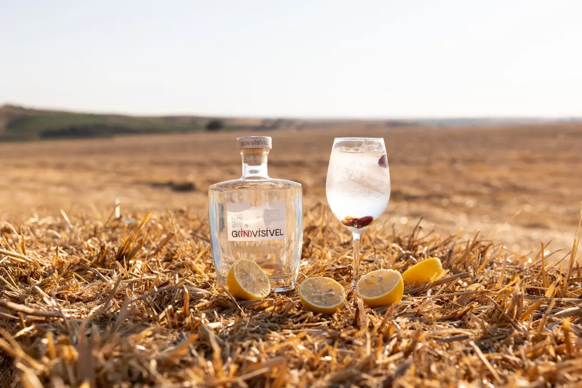 G(in)visível, o gin produzido pela Ervideira