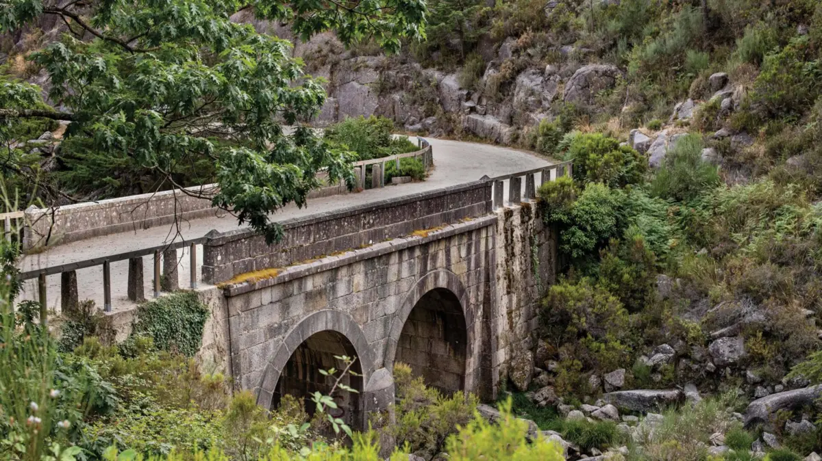 Imagem de contexto do artigo Lidl apoia iniciativa da WWF Portugal para restaurar nove áreas prioritárias do território nacional