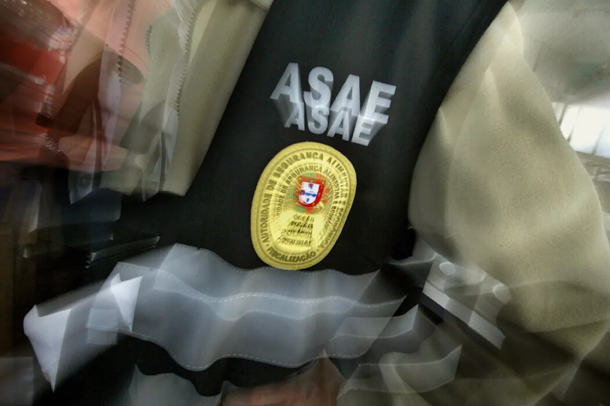 Imagem de contexto do artigo ASAE apreende 1600 litros de azeite por suspeita de adulteração com óleos