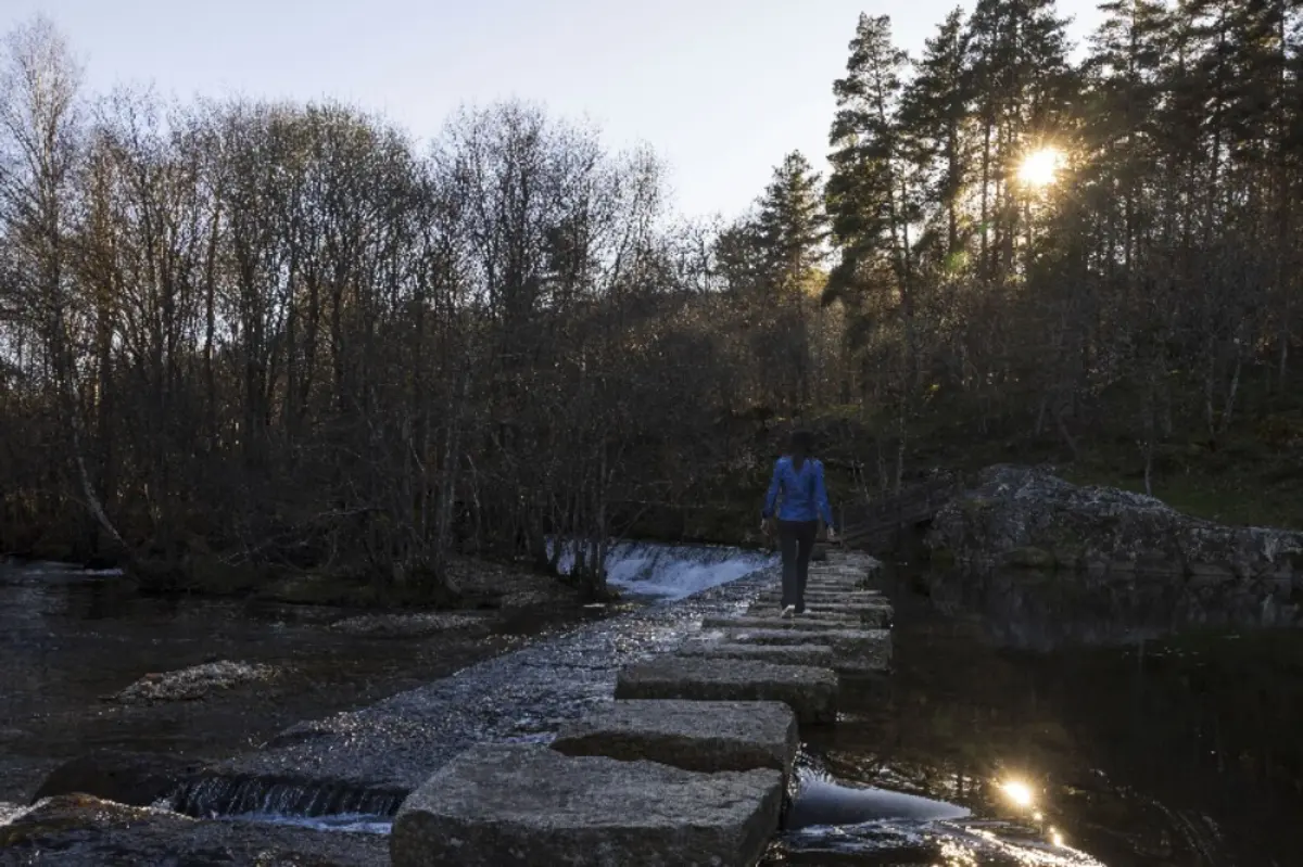 Até 2030, 30% do território deve estar protegido, segundo metas europeias e mundiais