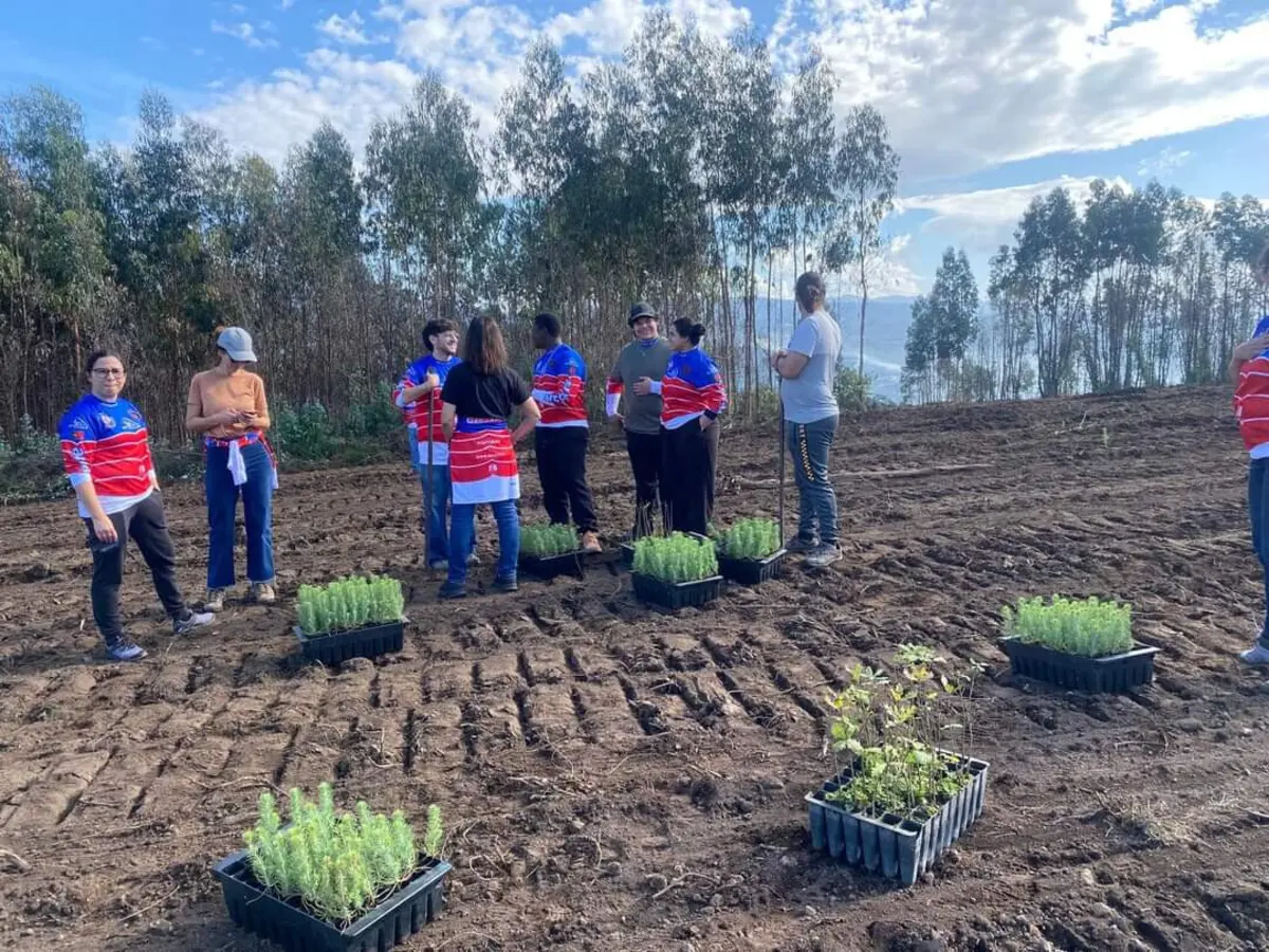 Plantação de árvores visa reduzir a pegada ecológica do evento Arcos TT